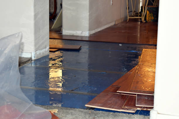 Professional Flood Cleanup technician working in Porter, IN